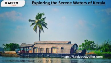 Exploring the Serene Waters Of Kerala: Tips For Planning A Backwaters Tour