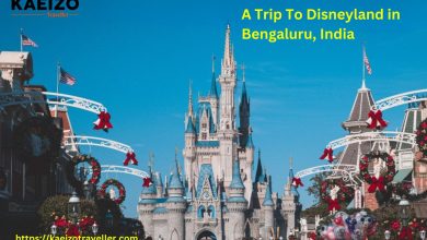 Experience The Magic: A Trip To Disneyland In Bengaluru, India