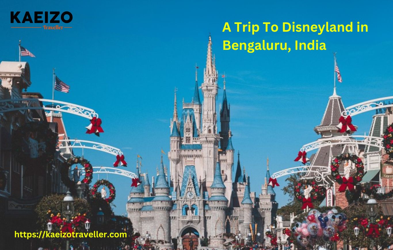 Experience The Magic: A Trip To Disneyland In Bengaluru, India