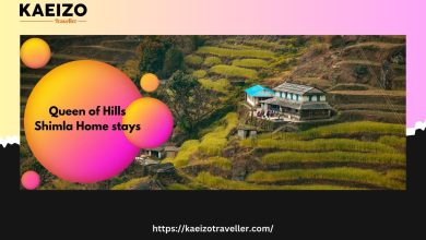 Home Stays In Shimla: A Comfortable And Authentic Experience