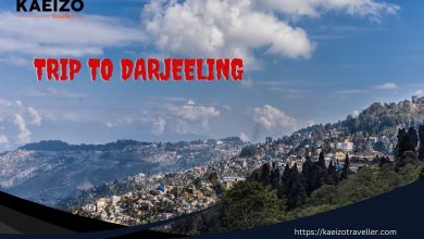 Exploring the Enchanting Charms of Darjeeling: A Journey into the Land of Tea and Tranquility