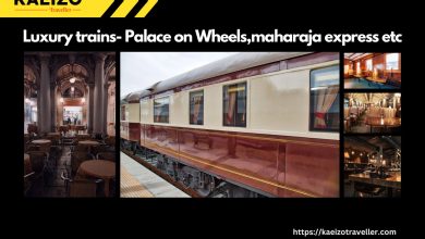 Feel The Luxury with Luxurious Palace On Wheels