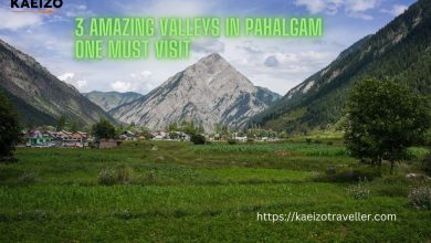 Exploring Paradise: 3 Amazing Valleys In Pahalgam You Must Visit