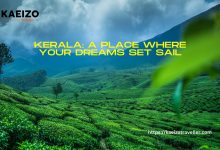 Kerala -A Place Where Your Dreams Set Sail