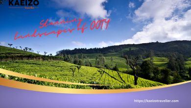 Stunning Landscapes of Ooty