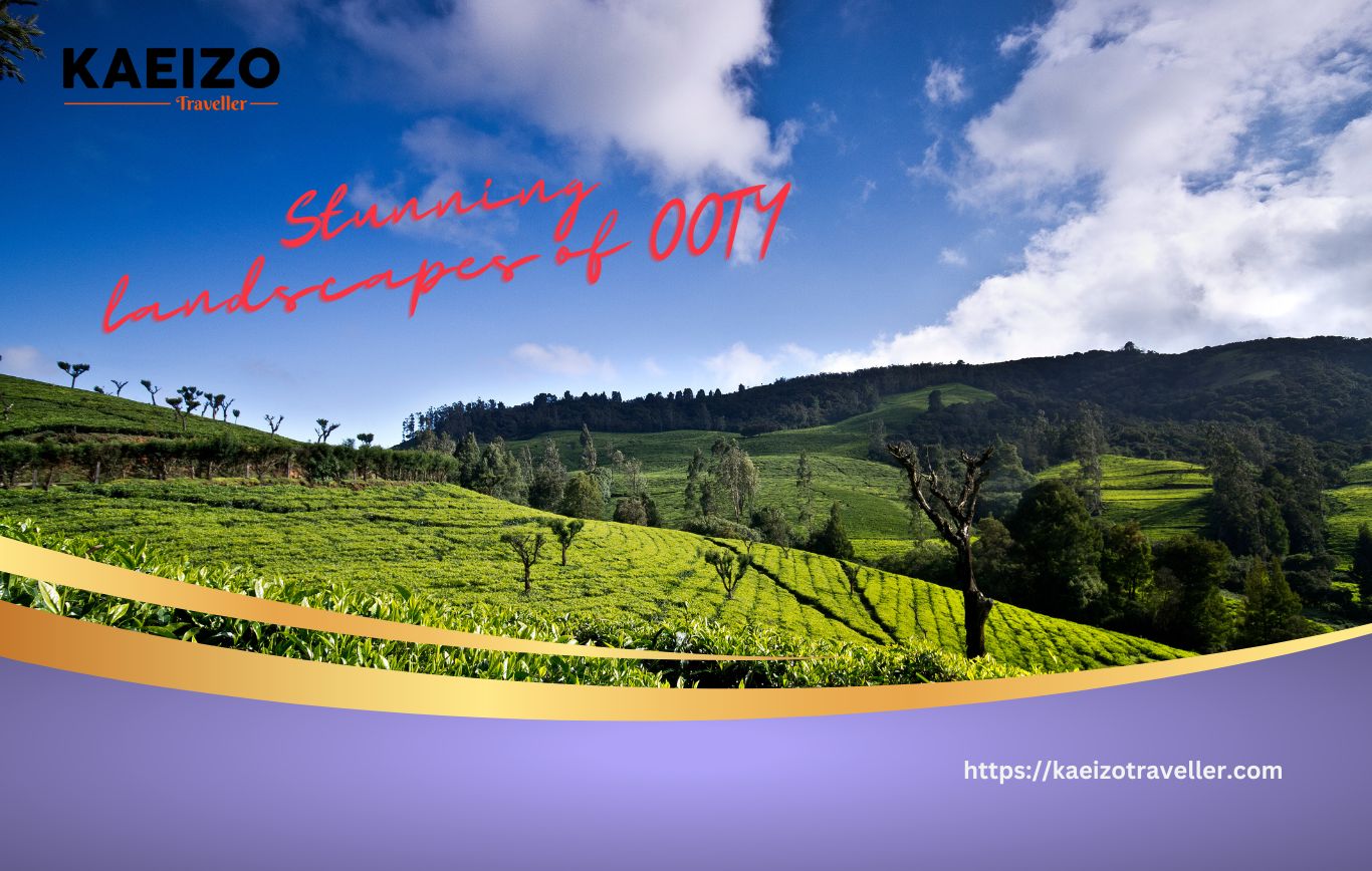 Stunning Landscapes of Ooty