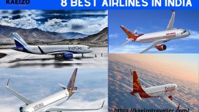 8 Best Airlines In India