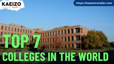 Top 7 colleges in the world