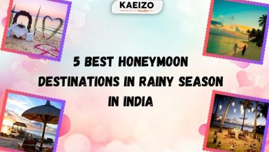 5 Best Honeymoon Destinations in Rainy Season In India